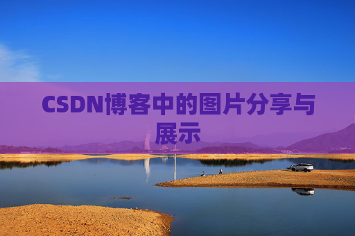 CSDN博客中的图片分享与展示